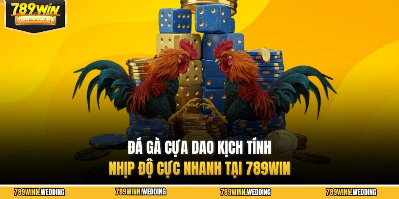da ga cua dao 789win