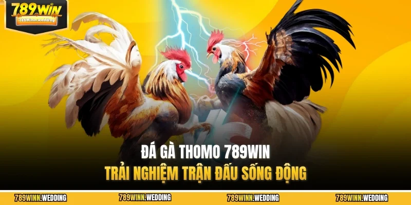 da ga thomo 789win