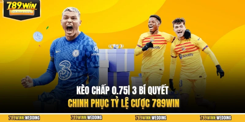 keo chap 075 789win